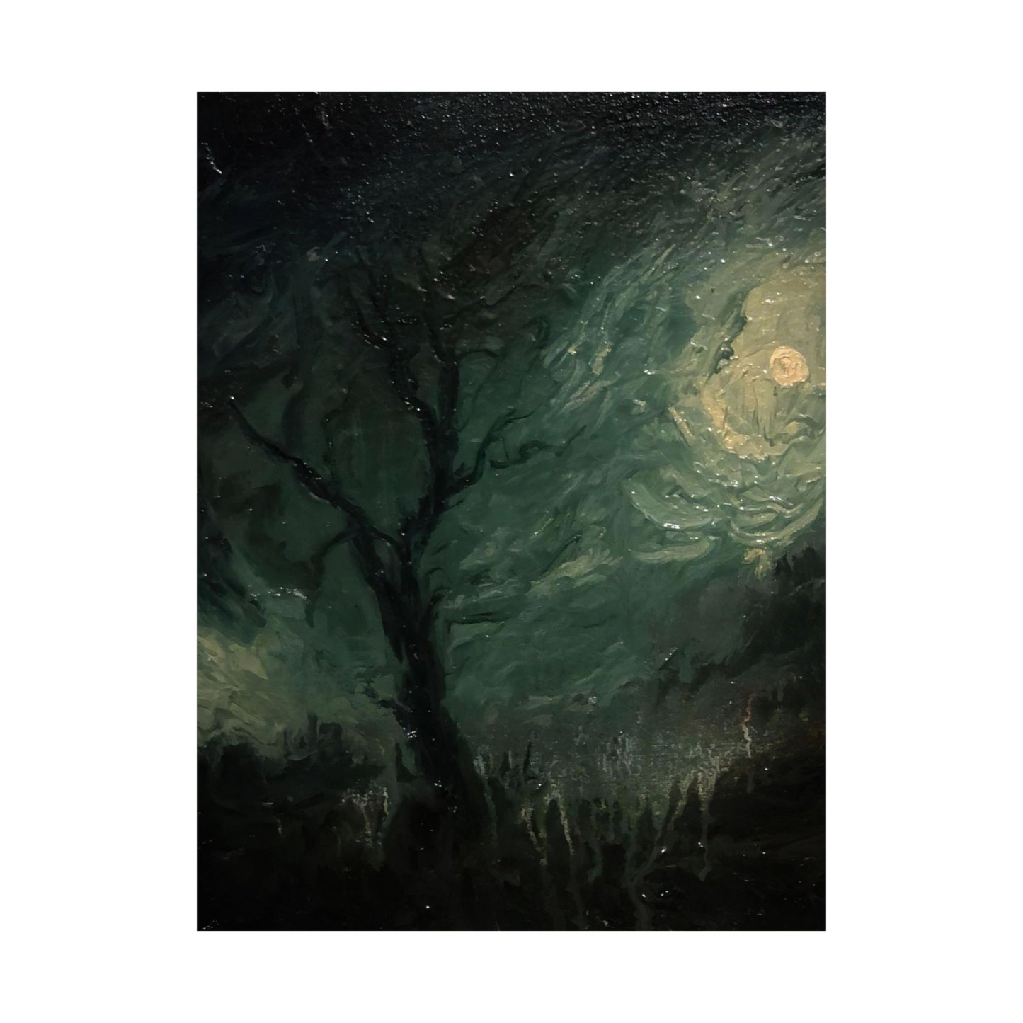 Moonlit Tree - Paper Print